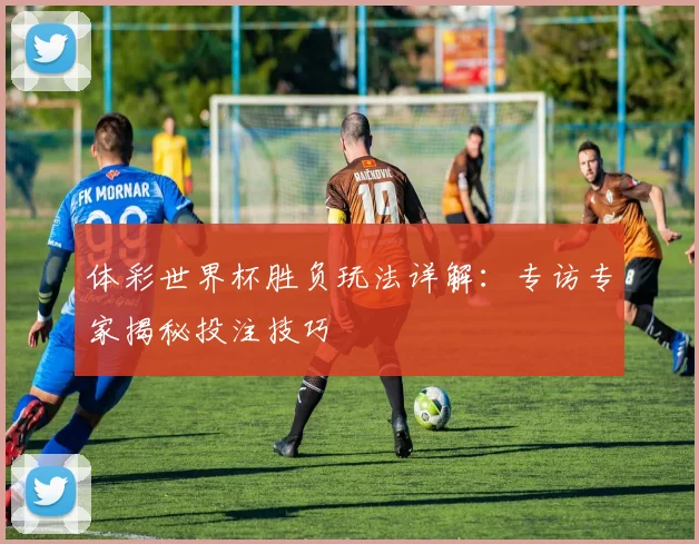 体彩世界杯胜负玩法详解：专访专家揭秘投注技巧
