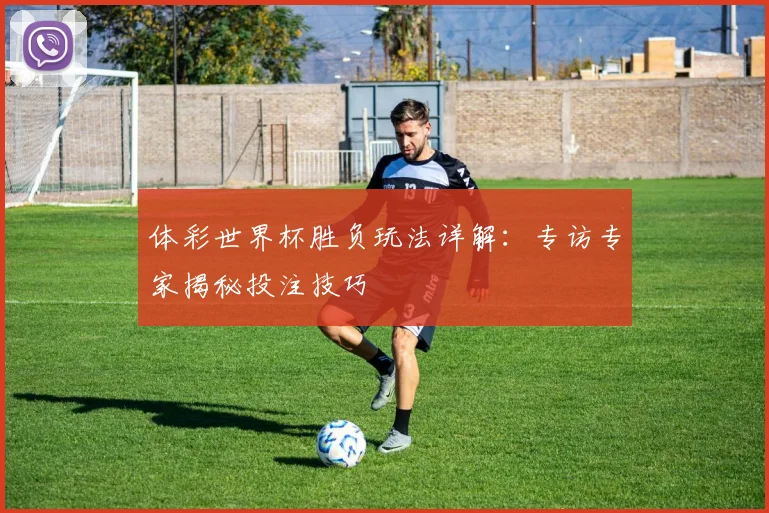 体彩世界杯胜负玩法详解:专访专家揭秘投注技巧