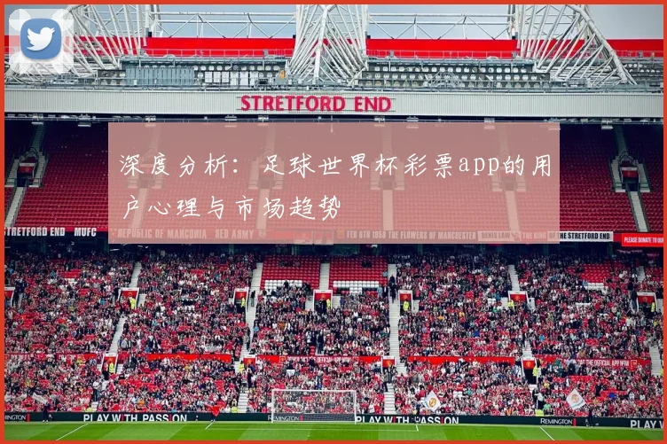 深度分析:足球世界杯彩票app的用户心理与市场趋势