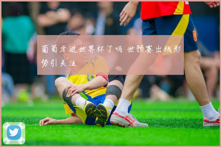 葡萄牙进世界杯了吗 世预赛出线形势引关注