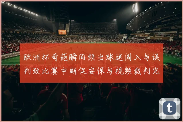 欧洲杯奇葩瞬间频出球迷闯入与误判致比赛中断促安保与视频裁判完善