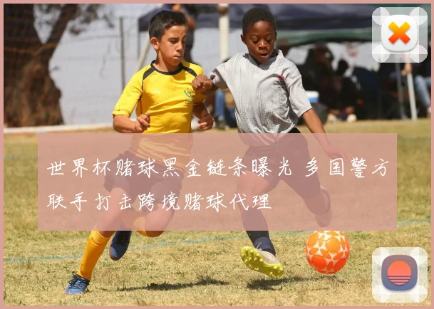 世界杯赌球黑金链条曝光 多国警方联手打击跨境赌球代理