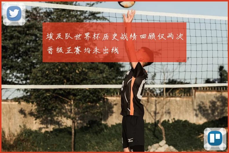 埃及队世界杯历史战绩回顾仅两次晋级正赛均未出线