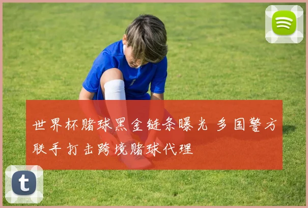 世界杯赌球黑金链条曝光 多国警方联手打击跨境赌球代理