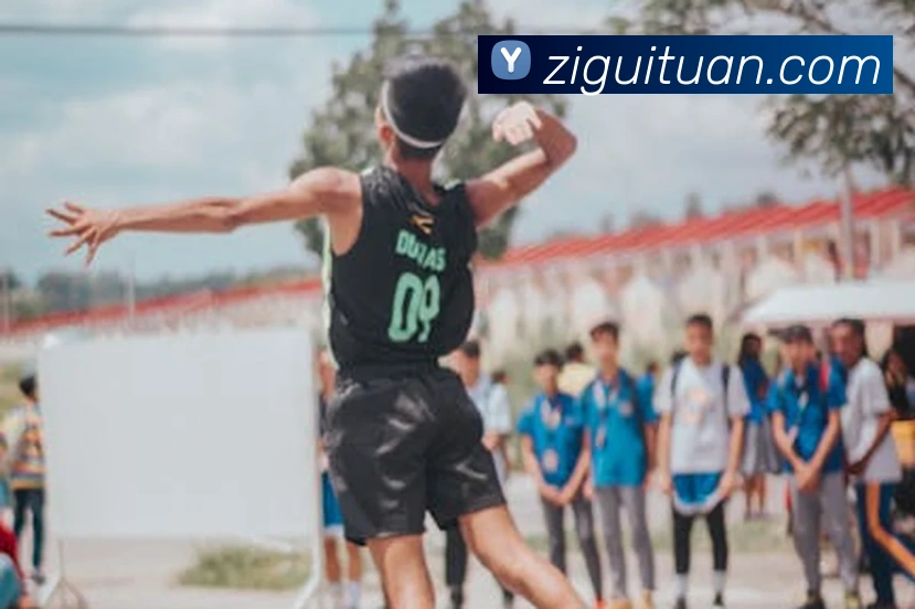 333体育官网是什么发展历程